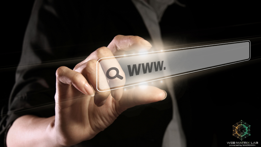 Professional web designer in Christchurch analyzing online search visibility